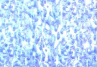391026A- Wachsplatte Sondergre matt, getupft lichtblau-wei-lila
