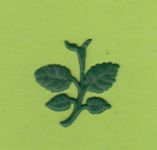 Rosenstiel klein  laubgrn 3,5 x 3,3 cm