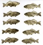 Papier-Fische geprgt gold - 5 Paare - ca. 7,5 cm lang - max. 6x verfgbar