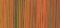 311001-   Wachsplatte Streifen gold,orange,grn